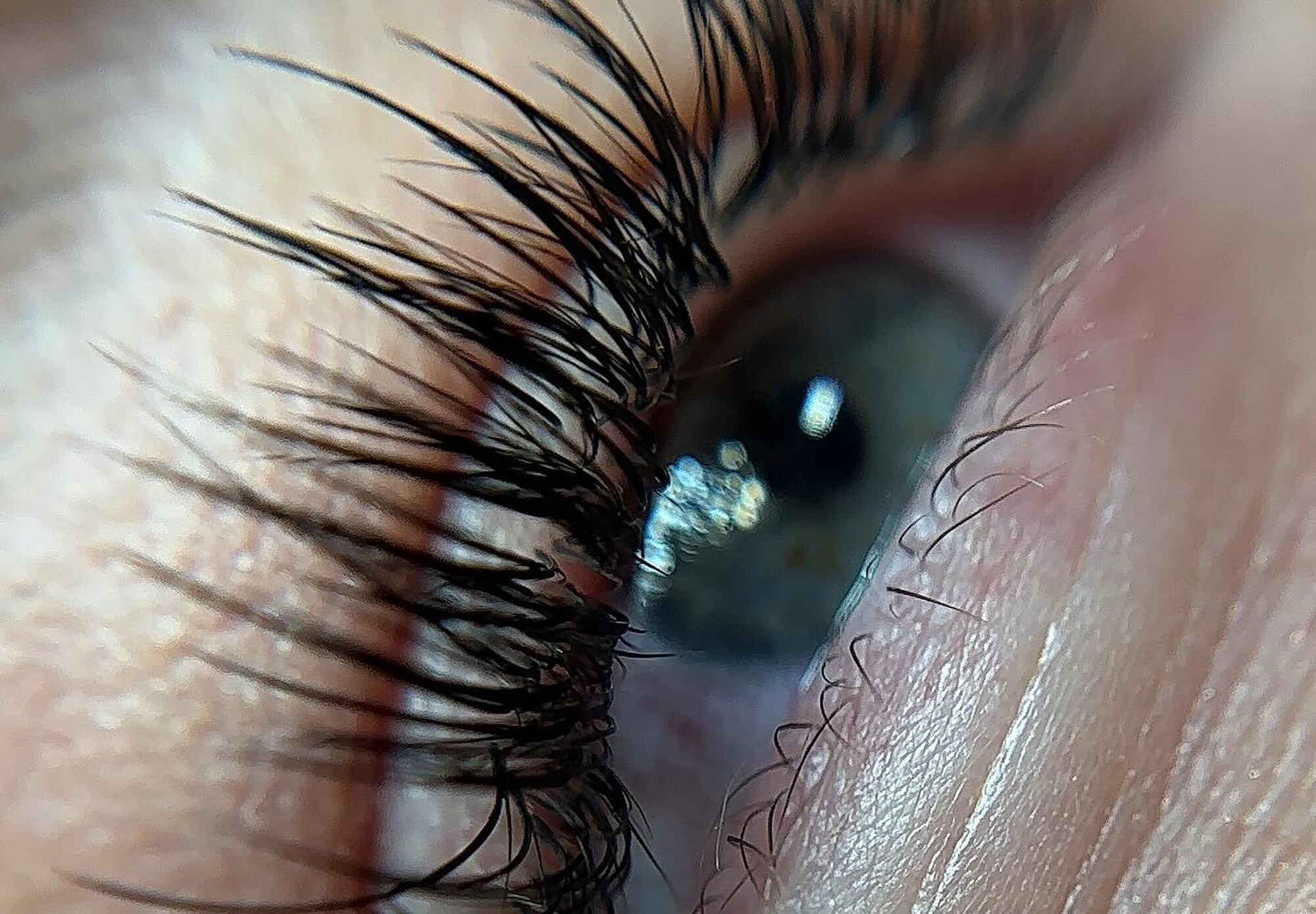A light, wispy lash set by McKinzie, up close