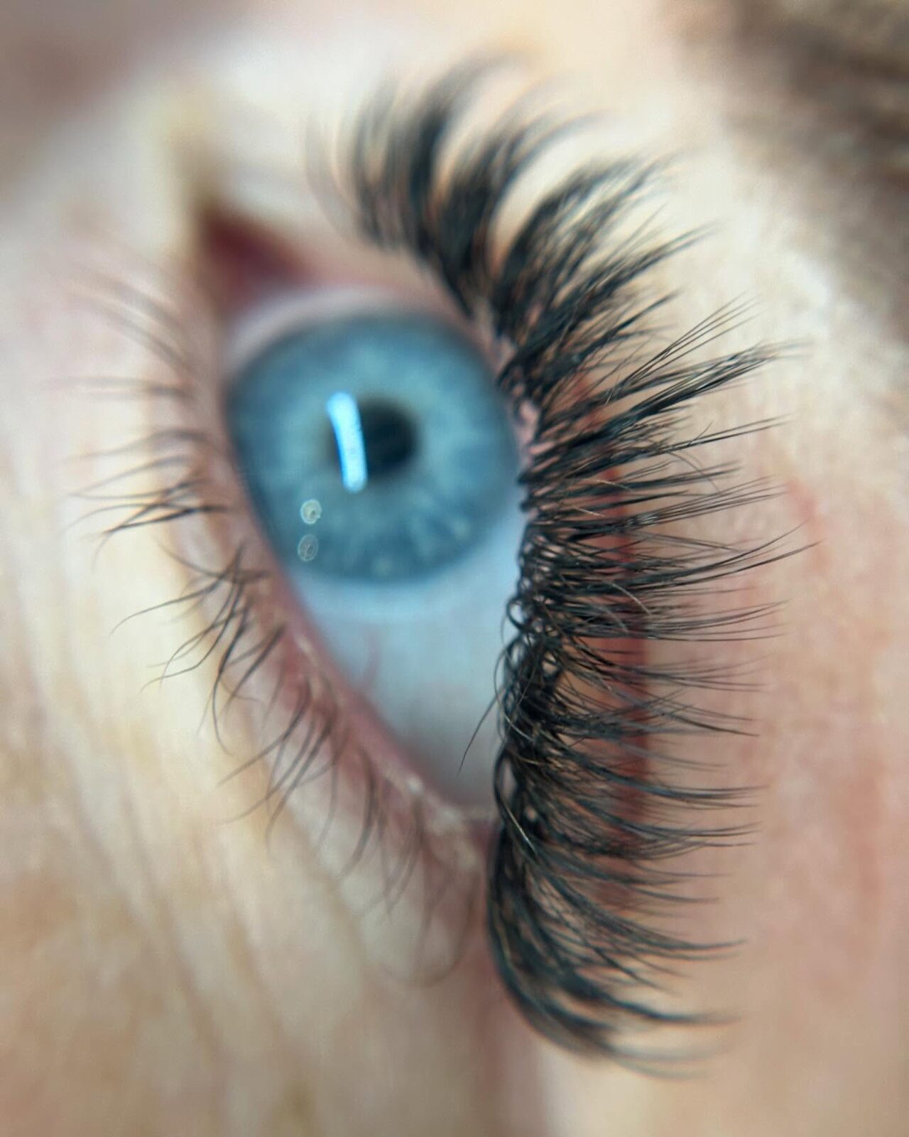 A natural, wispy lash set by McKinzie